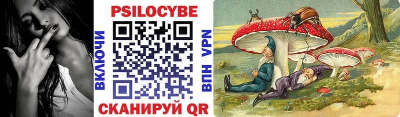 Псилоцибиновые грибы Cubensis  магазин  наркотиков  Чусовой 
